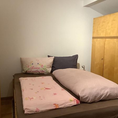 Ferienwohnung Apartment Doppelzimmer In Der Villa Naturpark Rheinblick, Ruhig, Aussicht, Pool Koblenz  Eksteriør bilde