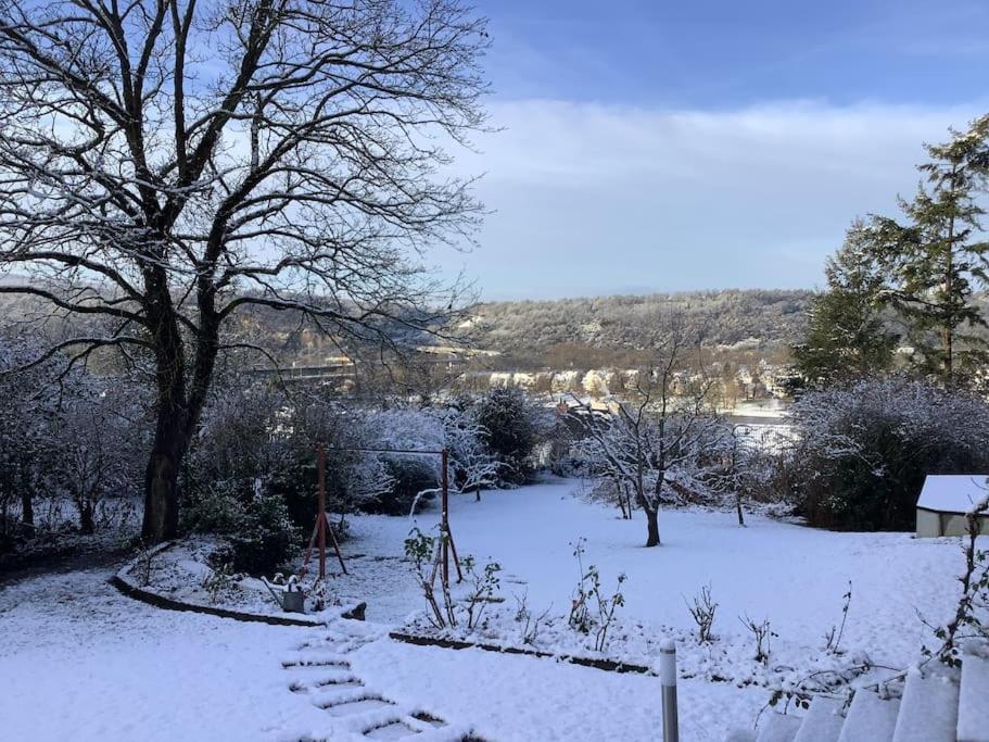 Ferienwohnung Apartment Doppelzimmer In Der Villa Naturpark Rheinblick, Ruhig, Aussicht, Pool Koblenz  Eksteriør bilde