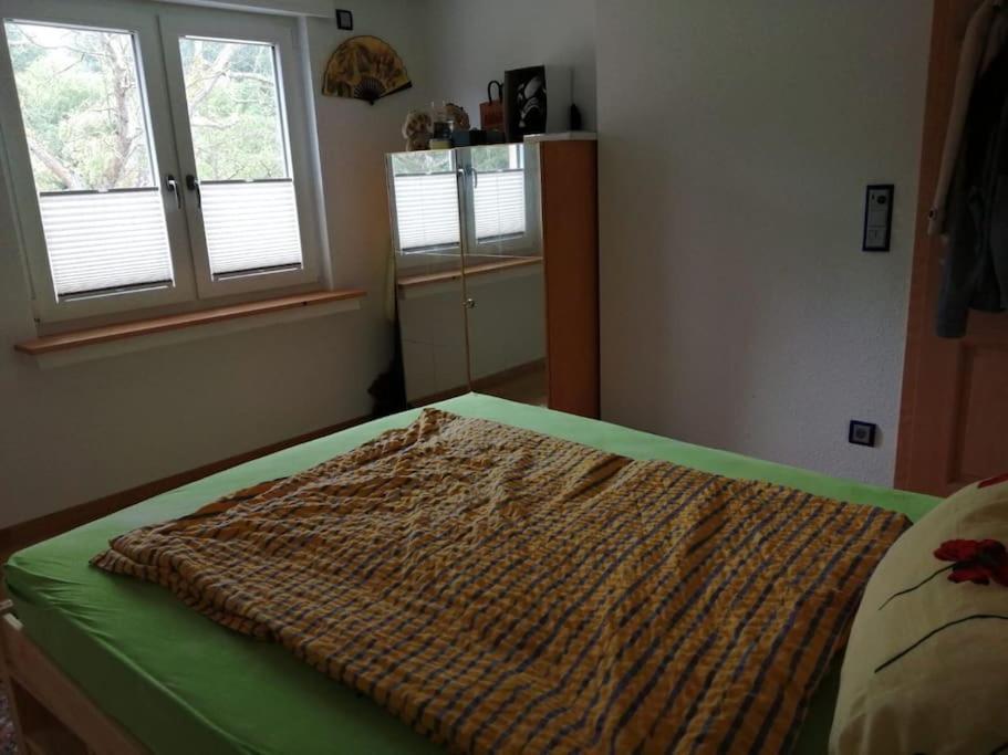 Ferienwohnung Apartment Doppelzimmer In Der Villa Naturpark Rheinblick, Ruhig, Aussicht, Pool Koblenz  Eksteriør bilde